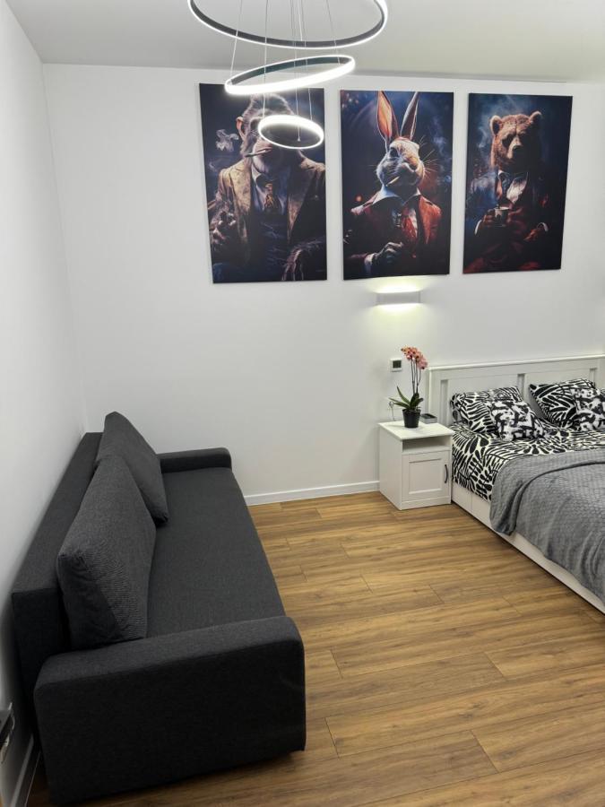 Chicago Apartment Κατοβίτσε Εξωτερικό φωτογραφία